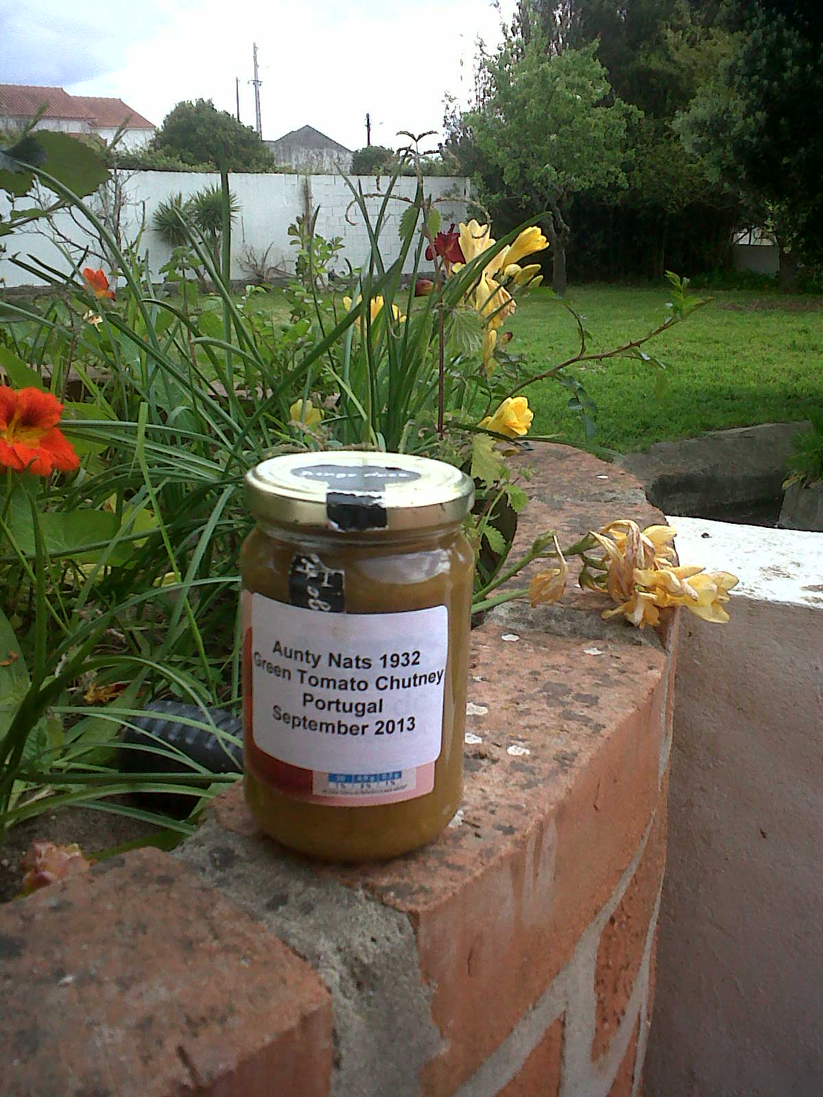 Aunty Nat’s 1932 Green Tomato Chutney | Rowena G's Recipes